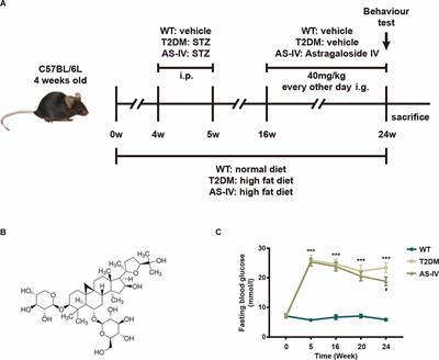 Astragaloside IV supplementation attenuates cognitive impairment by inhibiting neuroinflammation and oxidative stress in type 2 diabetic mice
